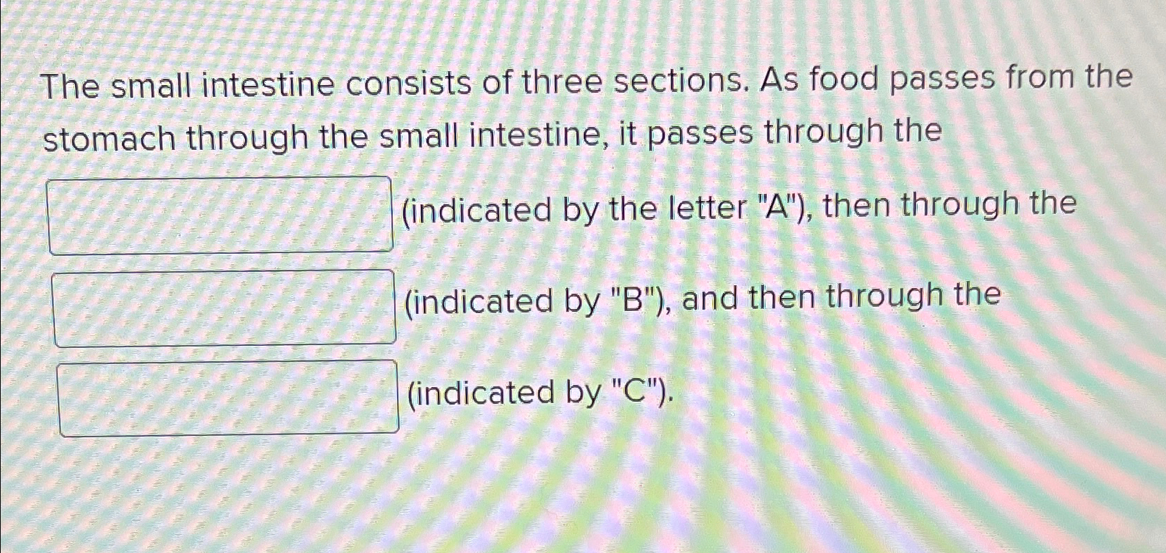 three sections of the small intestine