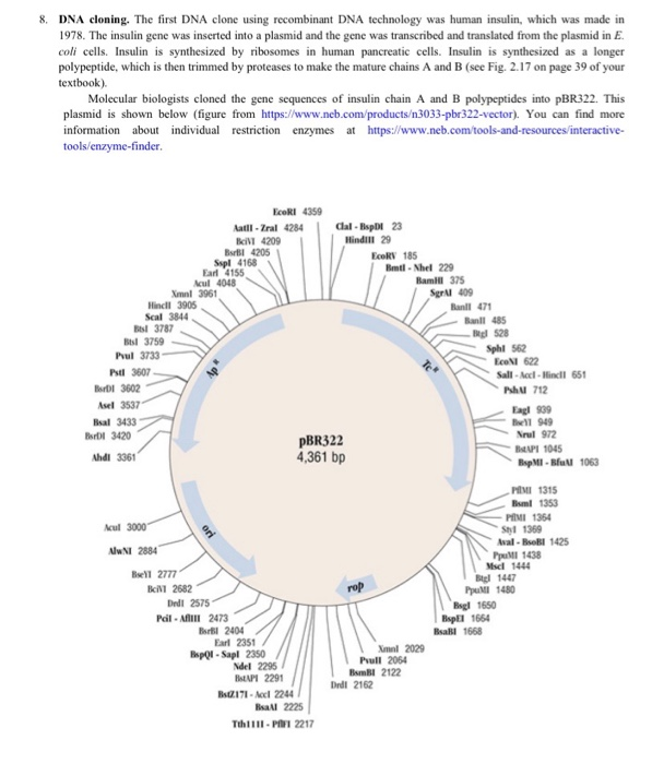 Solved 8. DNA Cloning. The First DNA Clone Using Recombinant | Chegg.com