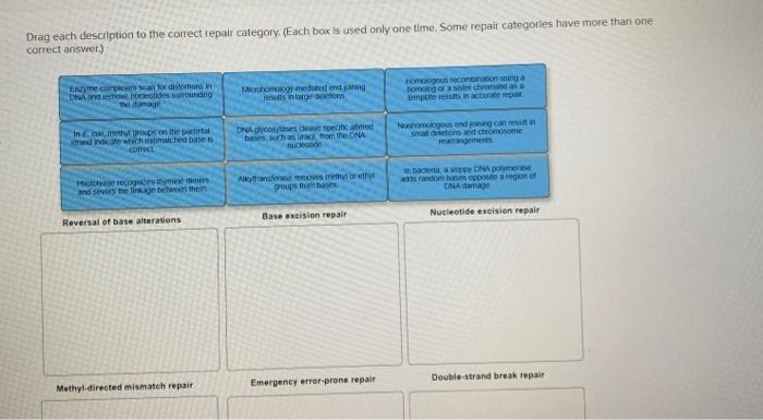 drag the case study description to the appropriate diagnosis box