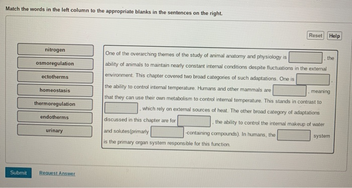 Match each vocabulary term on the left with its