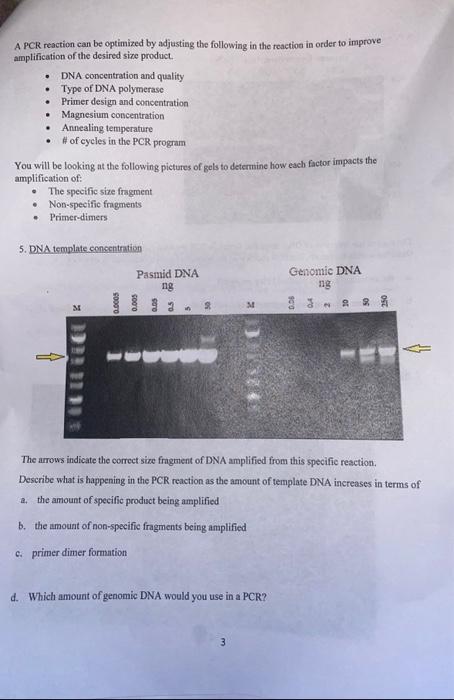 A PCR Reaction Can Be Optimized By Adjusting The Chegg Com   Image