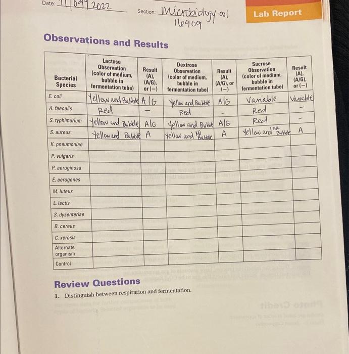 Observations and Results Review Questions 1. | Chegg.com
