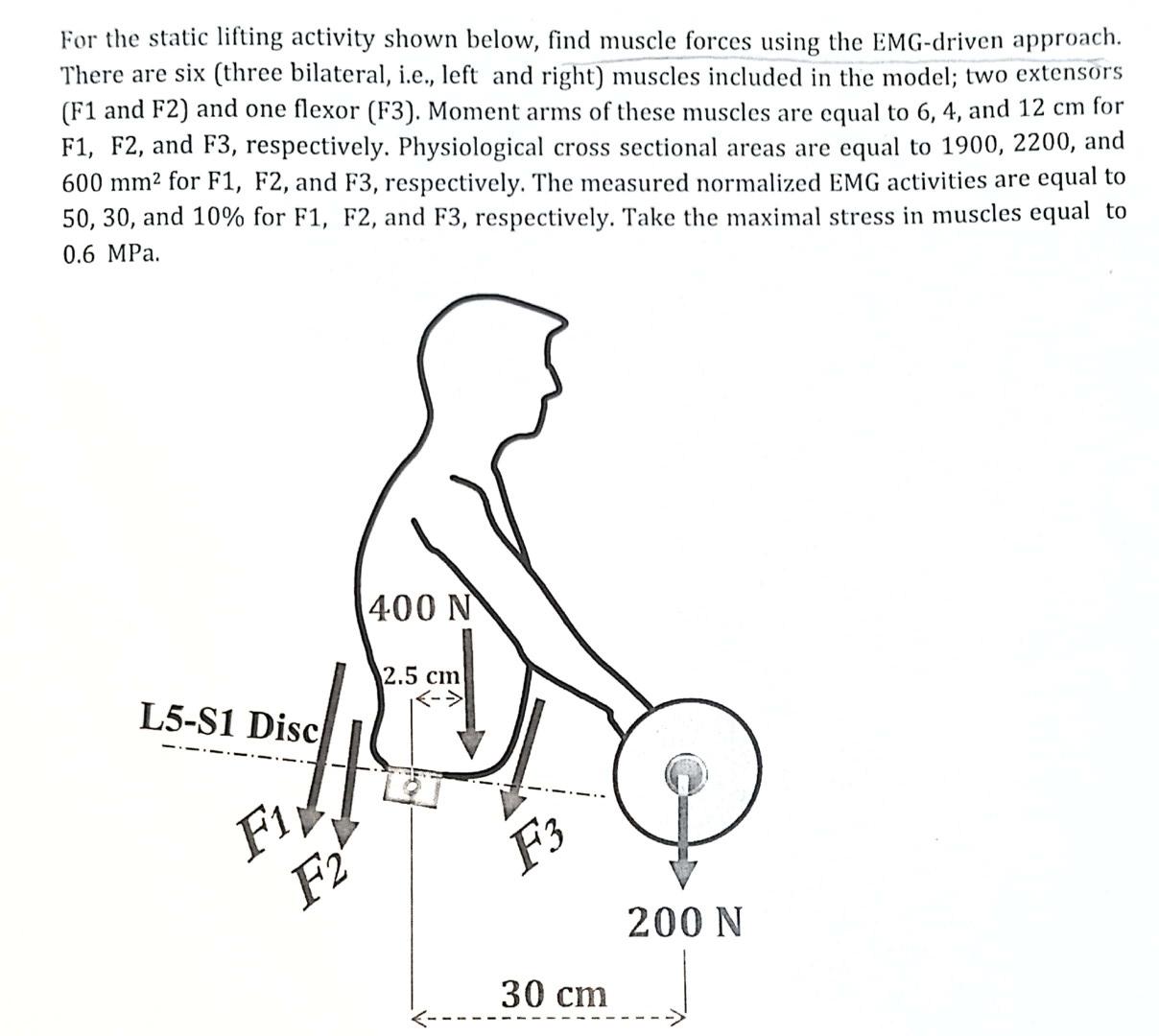 e static lifting activity shown below, find muscle | Chegg.com