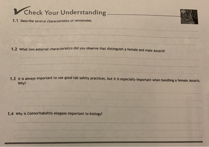 Characteristics of ascaris homework help Characteristics of ascaris homework help