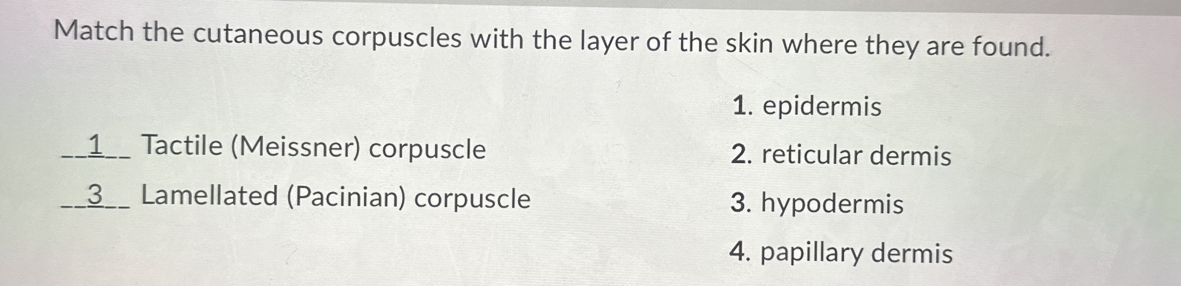 Match the cutaneous corpuscles with the layer of the | Chegg.com
