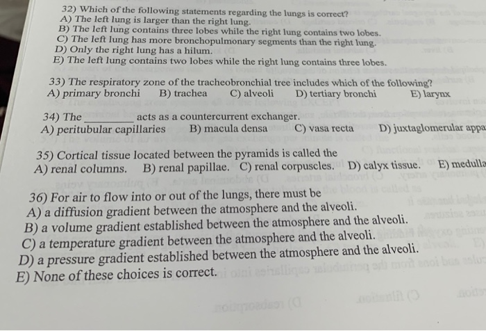 Solved 32) Which of the following statements regarding the | Chegg.com