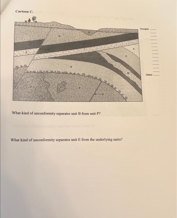 Solved Cartoon C. Young B Oldest What kind of unconformity | Chegg.com