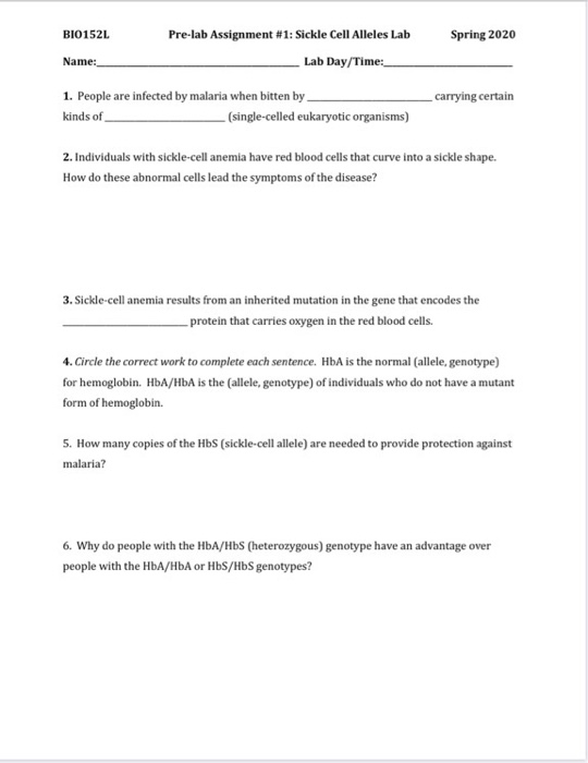 Solved Pre-lab Assignment #1: Sickle Cell Alleles Lab Spring | Chegg.com
