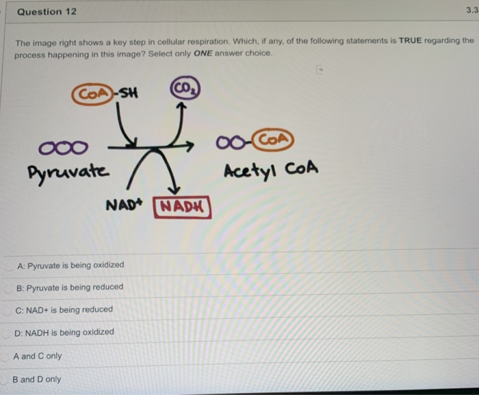 What Are The Key Steps In Cellular Respiration