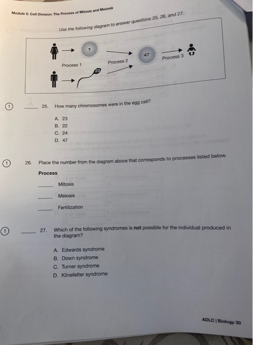 Solved Module 5. Cell Division: The Process of Mitosis and | Chegg.com