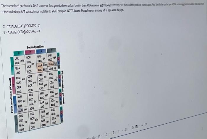 Solved The transcribed portion of a DNA sequence for a gene | Chegg.com