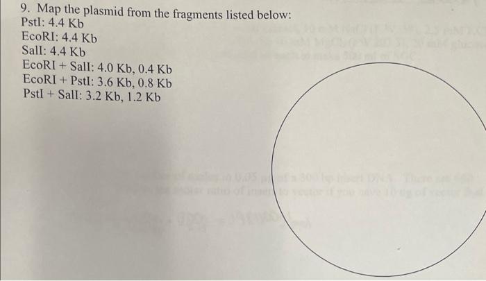 Solved 9. Map the plasmid from the fragments listed below: | Chegg.com