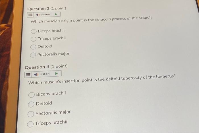 Solved Which muscle's origin point is the coracoid process | Chegg.com