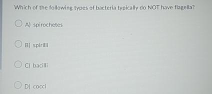 Solved Which of the following types of bacteria typically do | Chegg.com