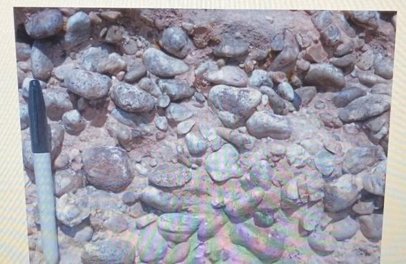 Solved 1. what is the shape of the clasts in this clastic | Chegg.com