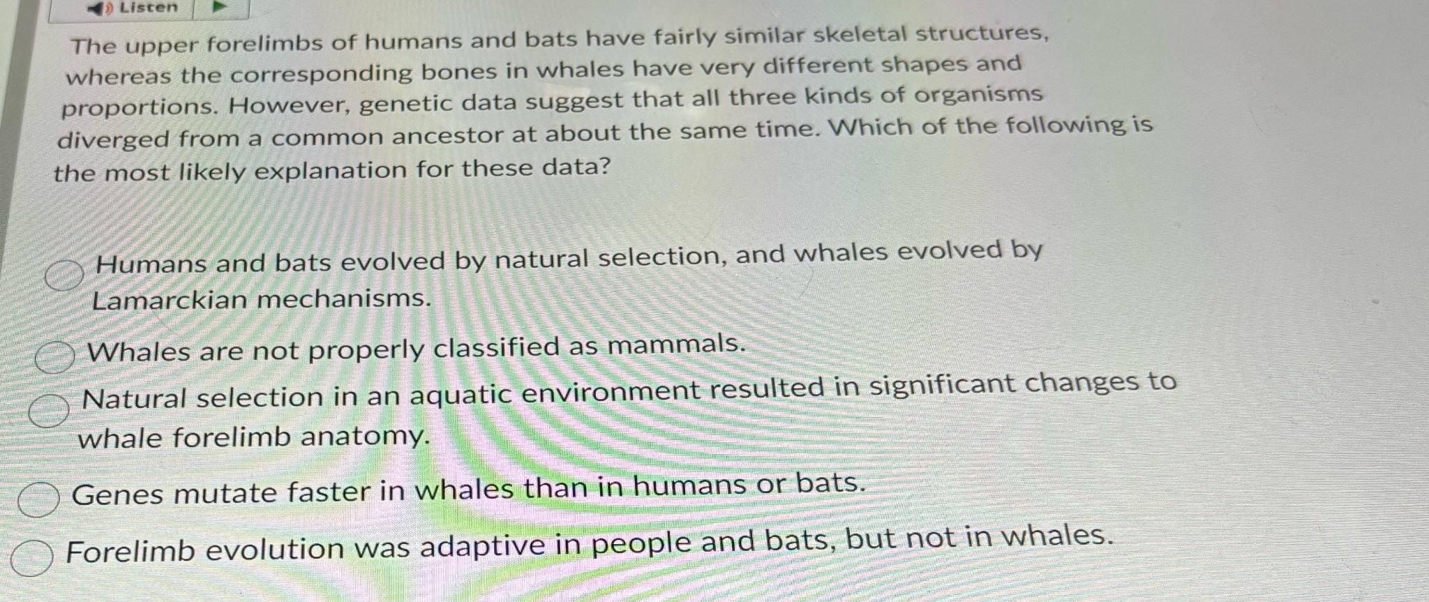 Solved The upper forelimbs of humans and bats have fairly | Chegg.com