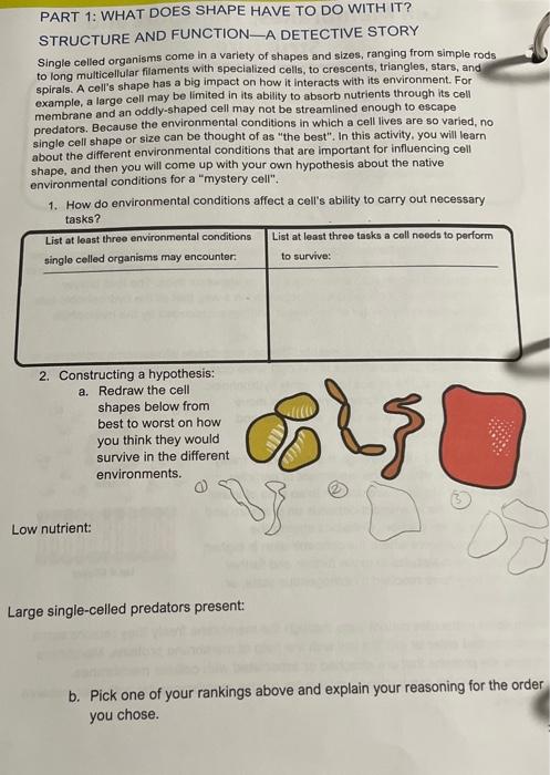 Solved PART 1: WHAT DOES SHAPE HAVE TO DO WITH IT? STRUCTURE | Chegg.com