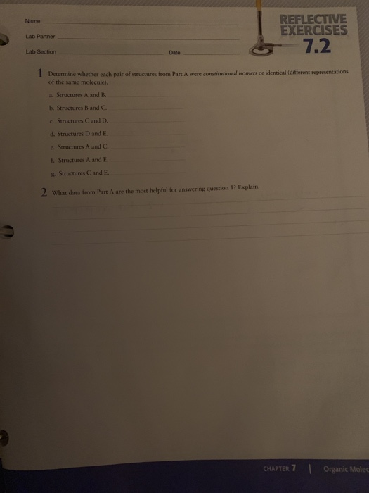 Name Lab Partner REFLECTIVE EXERCISES 7.2 Lab Section | Chegg.com