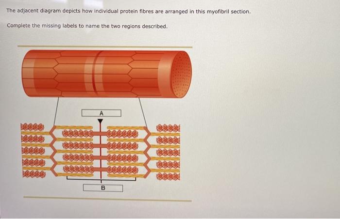 Solved The following diagram depicts the internal | Chegg.com