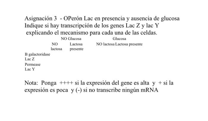 Solved Assignment 3 - Lac OPeron in the presence and absence | Chegg.com