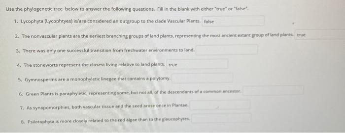 Solved use the phylogenetic tree below to answer the | Chegg.com