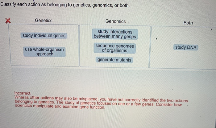 Solved Classify each action as belonging to genetics, | Chegg.com