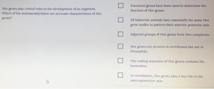 Solved Hox genes play critical roles in the development of | Chegg.com