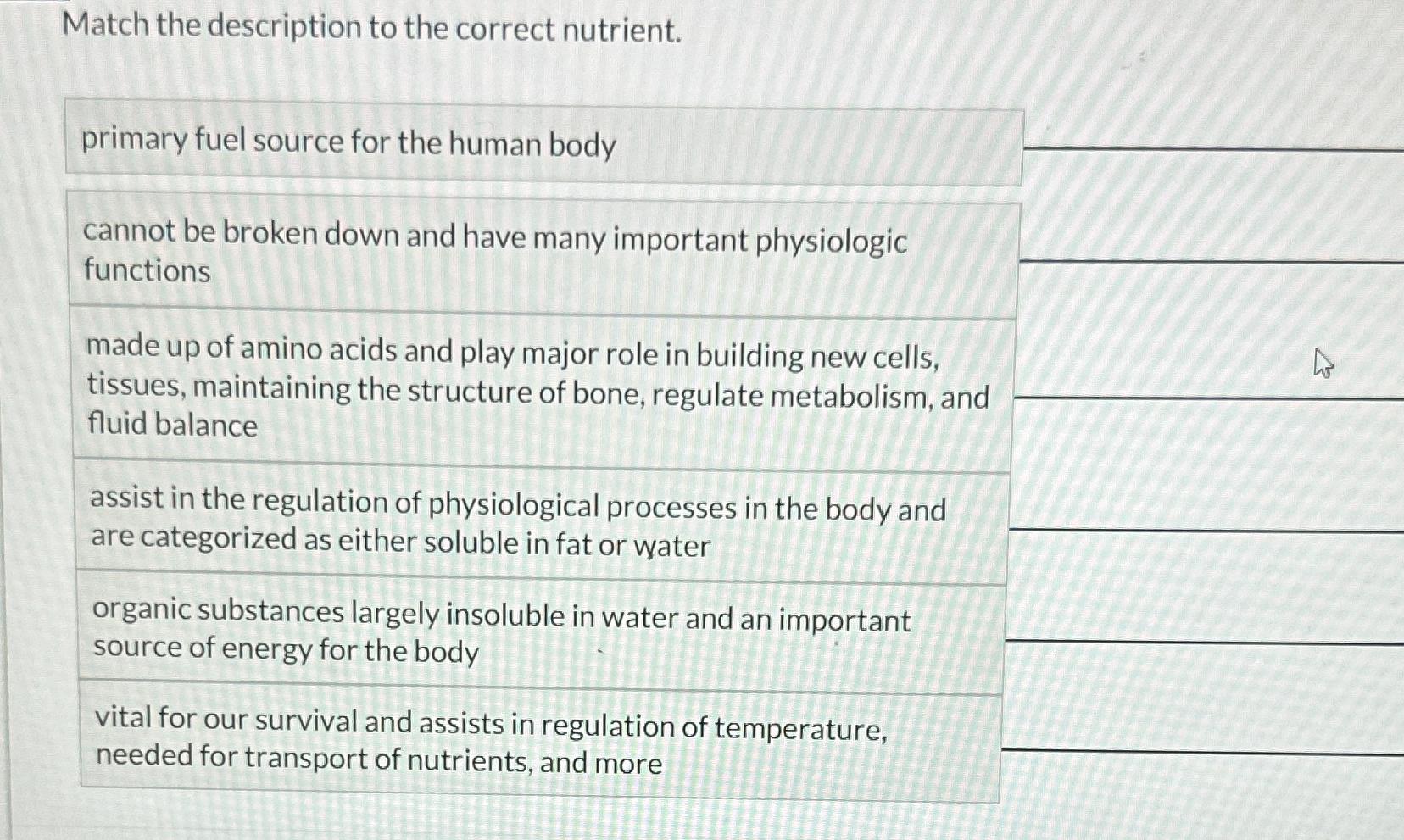what nutrient is the primary source of energy for your body