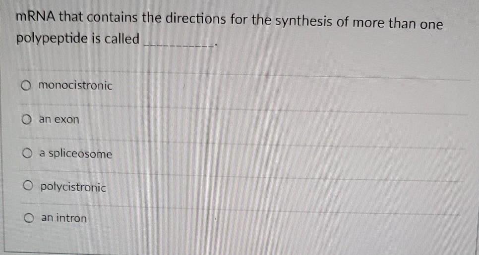 Solved mRNA that contains the directions for the synthesis | Chegg.com