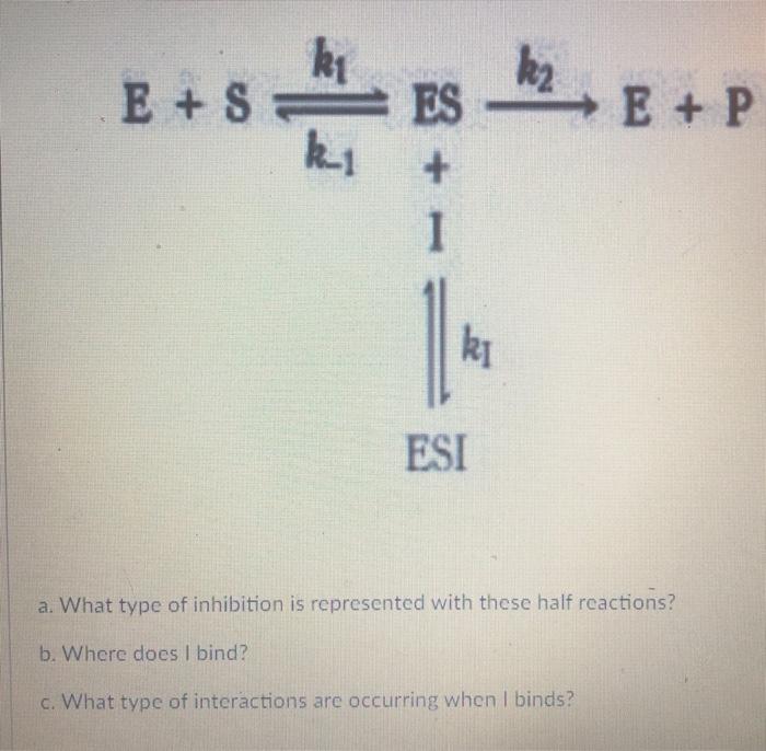 Solved Ki K2 E S E P Ki Es 1 Ki Esi A What Type Of Chegg Com