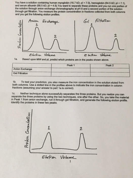 Solved You Have A Solution Containing Human Myoglobin Chegg Com