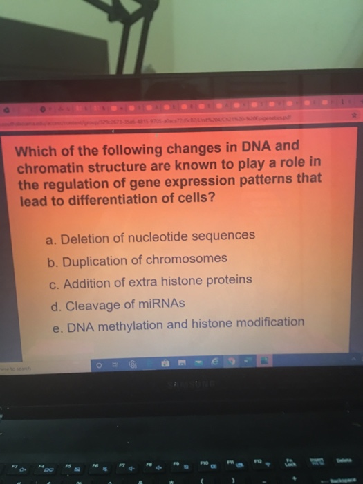 Solved Which of the following changes in DNA and chromatin | Chegg.com