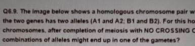 Solved Q6.9. ﻿The image below shows a homologous chromosome | Chegg.com