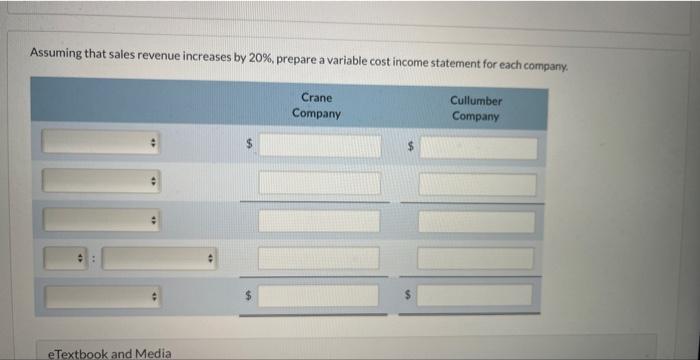 Assuming that sales revenue increases by \( 20 \% \), prepare a variable cost income statement for each company.