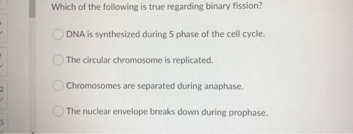 Solved Which Of The Following Is True Regarding Binary | Chegg.com
