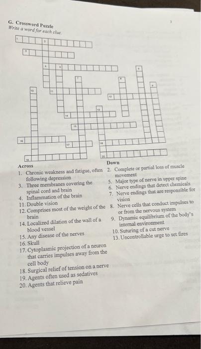 Solved G Crossword Puzzle Write a word for each clue 11 LI Chegg com
