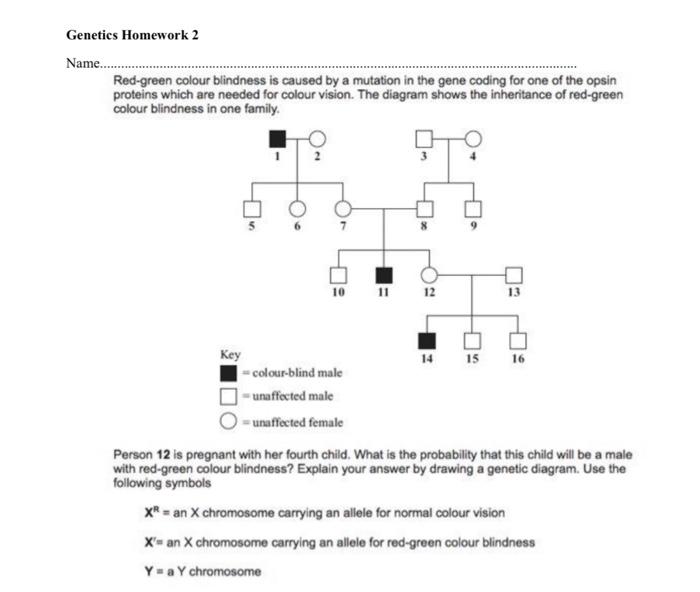 Solved Red-green colour blindness is caused by a mutation in | Chegg.com