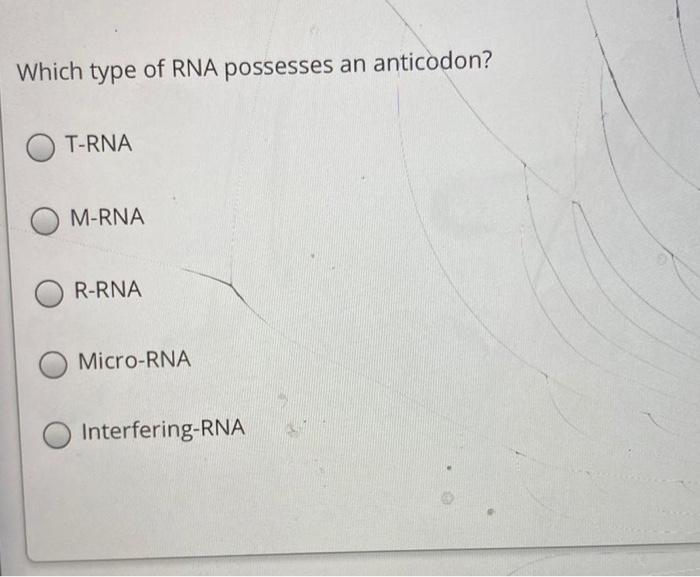 Solved Which type of RNA possesses an anticodon? TRNA MRNA