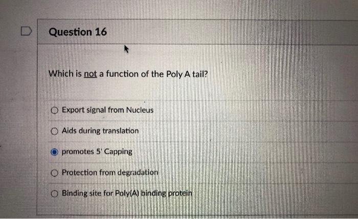 Solved Question 16 Which is not a function of the Poly A | Chegg.com