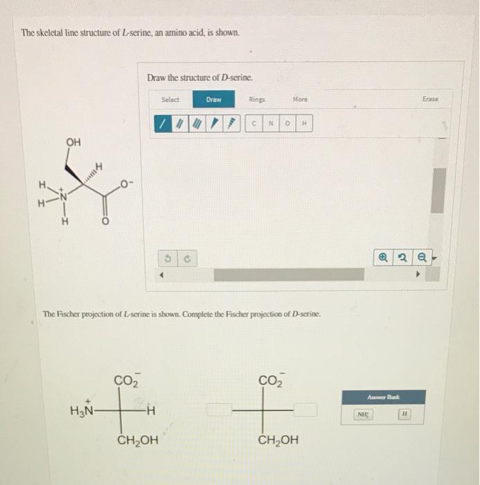 The skeletal line structure of L-serine, an amino acid, is shown.
Draw the structure of D-serine.
Select
Draw
Ring
More
Erase