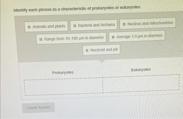 Solved Identify each phrase as a characteristic of | Chegg.com