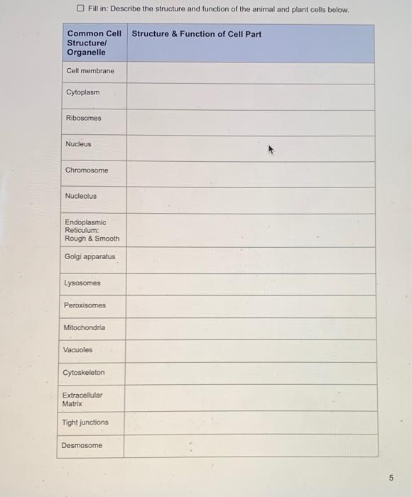 Solved Fill in: Describe the structure and function of the | Chegg.com