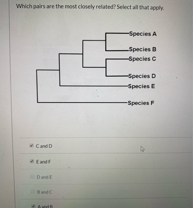 solved-which-pairs-are-the-most-closely-related-select-all-chegg