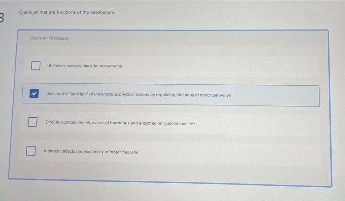 Solved Check all that are functions of the cerebellum B. | Chegg.com