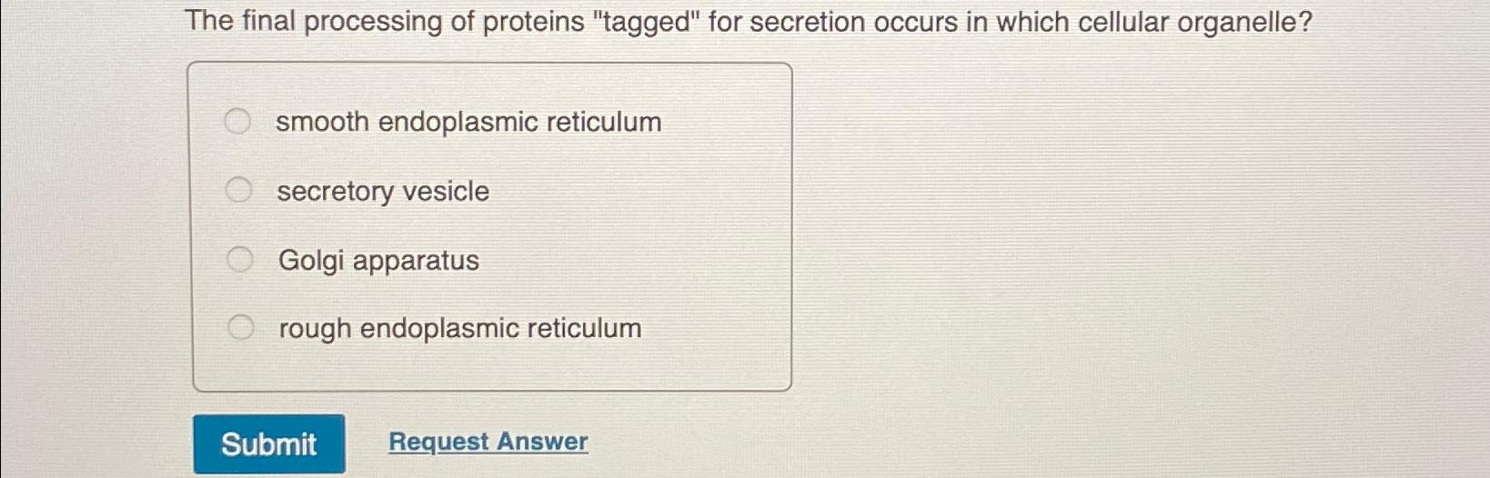Solved The final processing of proteins 