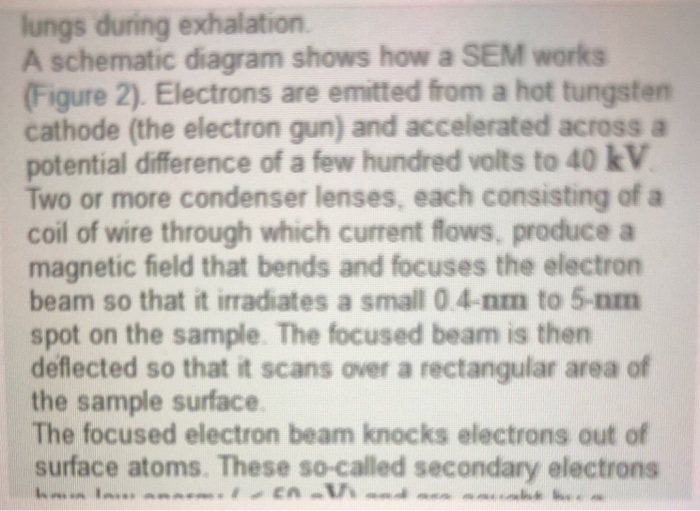 Solved The scanning electron microscope (SEM) uses high- | Chegg.com
