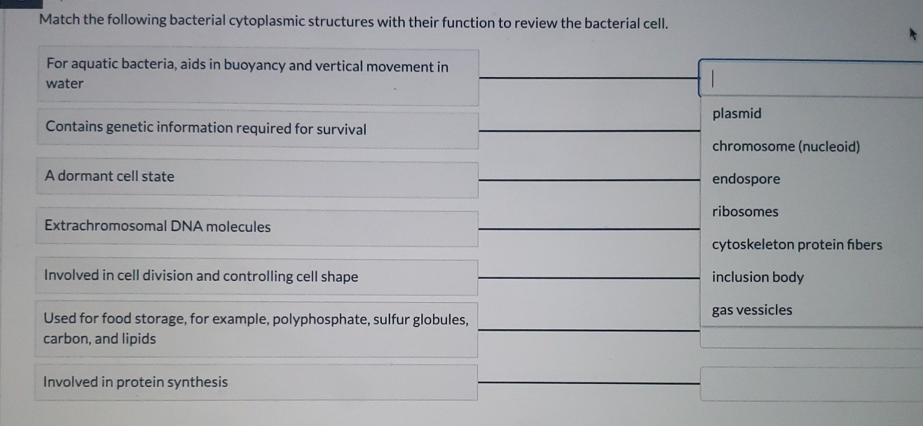 Solved Match the following bacterial cytoplasmic structures | Chegg.com