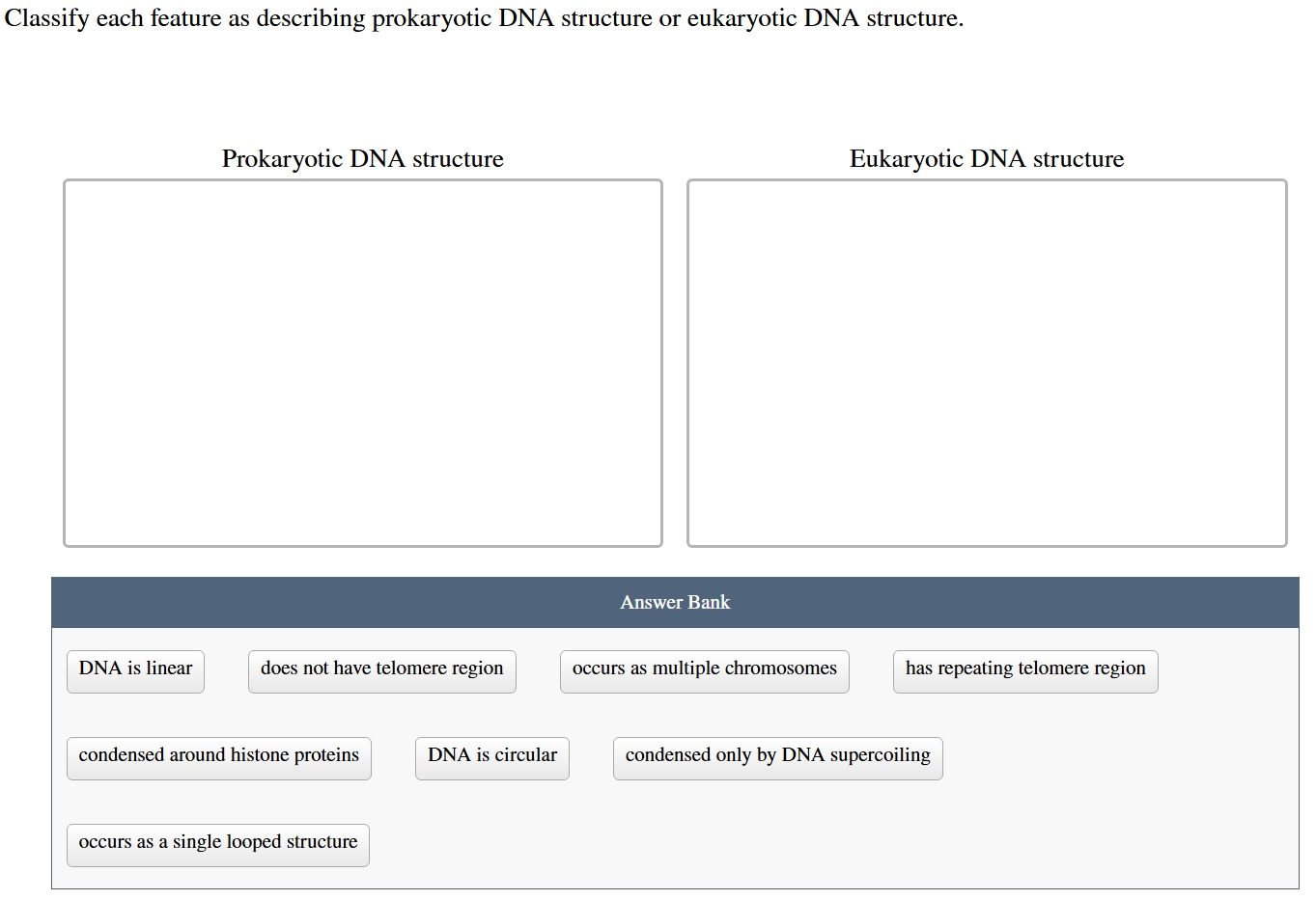 Solved Classify each feature as describing prokaryotic DNA | Chegg.com