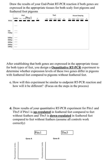 Solved 1. You are studying gene expression changes in | Chegg.com
