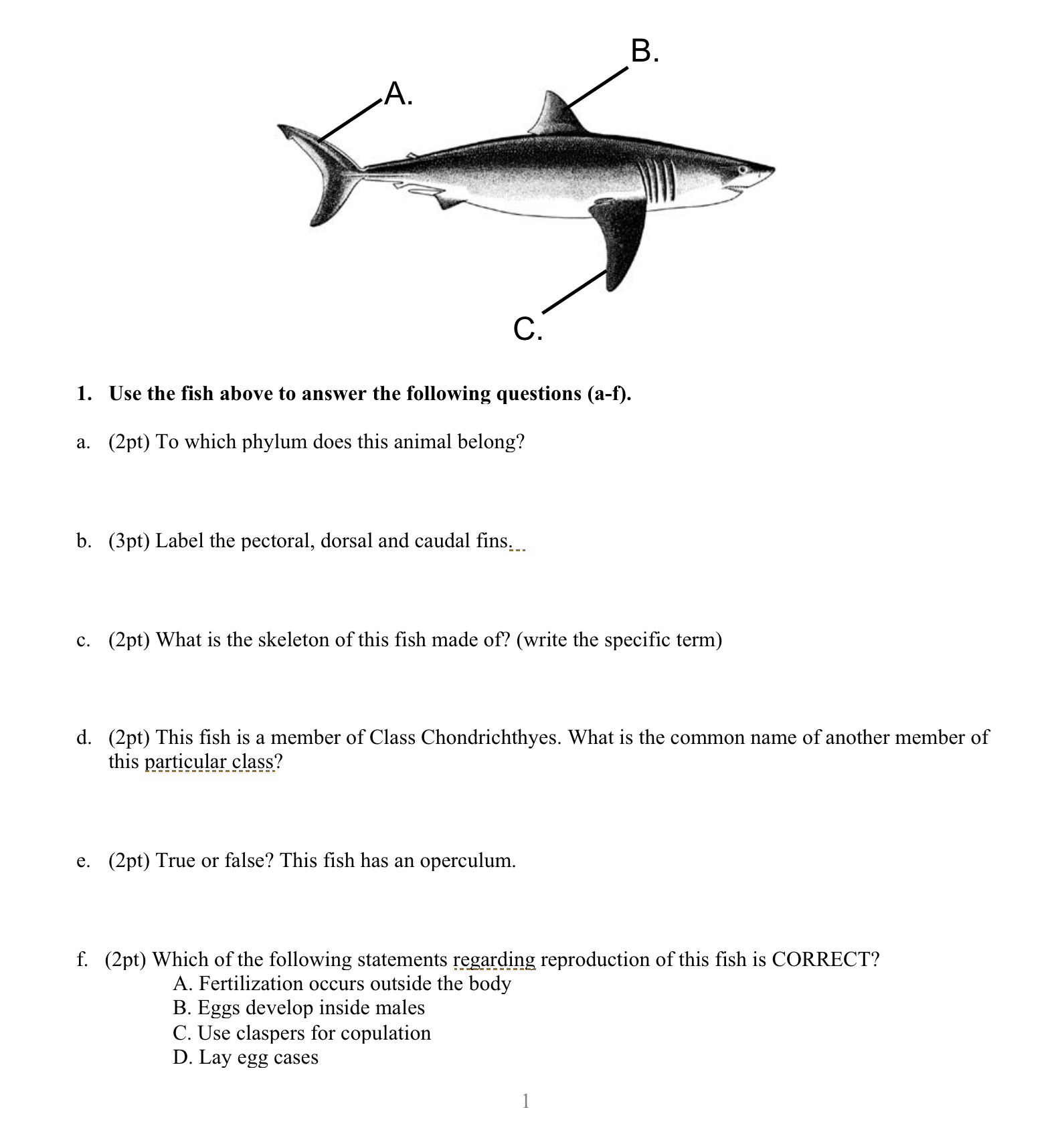 Solved Use the fish above to answer the following questions | Chegg.com